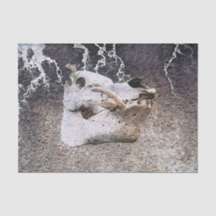 Schweineschädel Grau Vintage Farm Textur Decoupage Seidenpapier