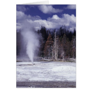 Schweineschwanz Geyser,Yellowstone Nationalpark