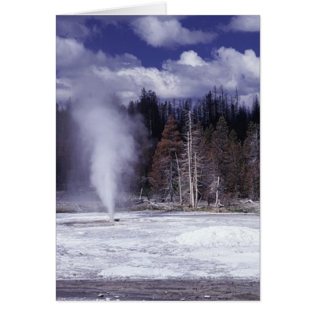 Schweineschwanz Geyser,Yellowstone Nationalpark (Vorne)