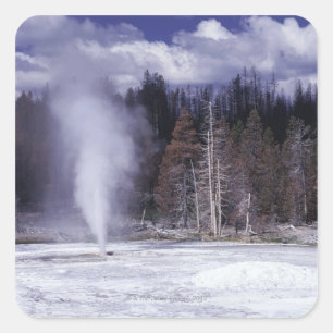 Schweineschwanz Geyser,Yellowstone Nationalpark Quadratischer Aufkleber