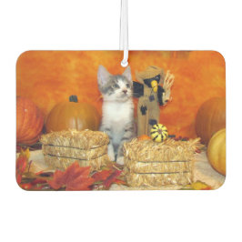 Schweineschwanz Niedlicher Katzenfall / Erntedank Autolufterfrischer