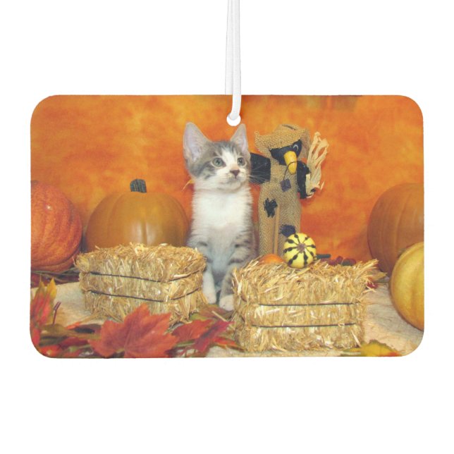 Schweineschwanz Niedlicher Katzenfall / Erntedank Autolufterfrischer (Vorderseite)