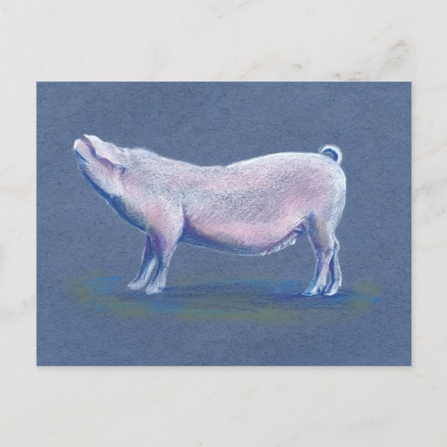 Schweineschweine, handgezeichnet, Postkarte (Vorderseite)