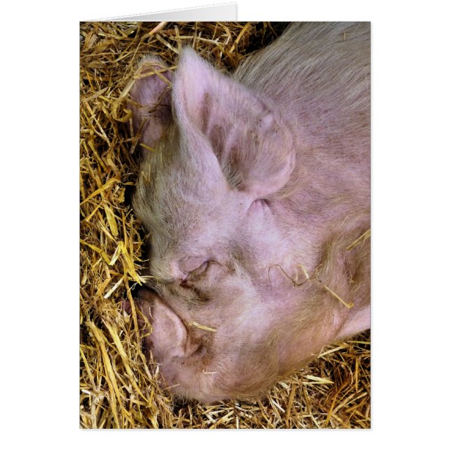 SCHWEINKARTE (Vorne)