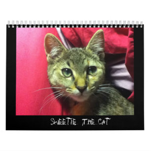 SCHWEIZ DES KATZKATZKALENS KALENDER