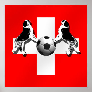 Schweiz Fußball - Brasilien 2014 Nati-Weltmeisters Poster