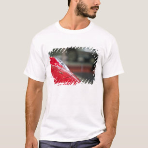SCHWEIZ, GENF: 75. jährliche Genfer Auto 2 T-Shirt