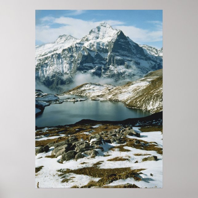 Schweiz, Grindelwald, Berner Alpen, Aussicht Poster (Vorne)