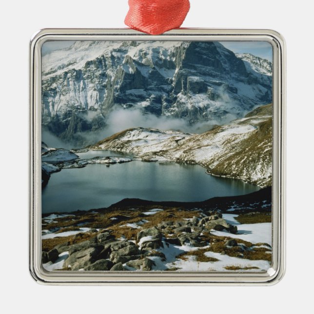 Schweiz, Grindelwald, Berner Alpen, Sicht Silbernes Ornament (Vorne)