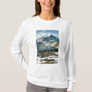 Schweiz, Grindelwald, Berner Alpen, Sicht T-Shirt