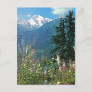 Schweiz, Jungfrau Region im Frühjahr Postkarte