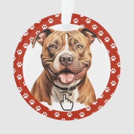 SCHWEIZ RECHTS - Siehe Zurück ... Keramik-Ornament Ornament