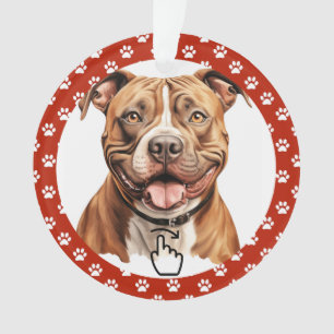 SCHWEIZ RECHTS - Siehe Zurück ... Keramik-Ornament Ornament