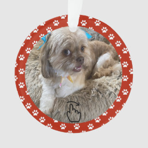 SCHWEIZ RECHTS - Siehe Zurück ... Ornament