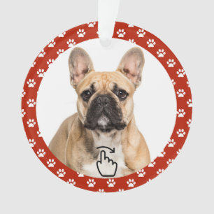 SCHWEIZ RECHTS - Siehe Zurück ... Ornament