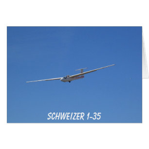 Schweizer 1-35 Gleiter