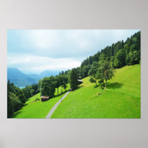Schweizer Alpen im Sommer Poster