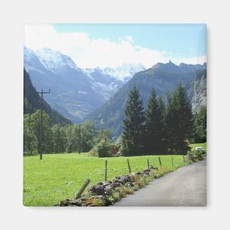 Schweizer Alpen Magnet