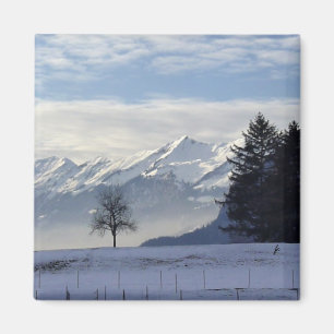 Schweizer Alpen Magnet