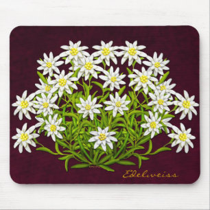 Schweizer BergEdelweiss Blumen Mousepad