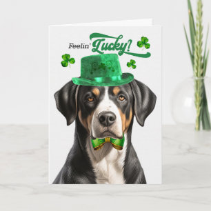 Schweizer Berghund fühlt sich am St. Patrick's Day Feiertagskarte