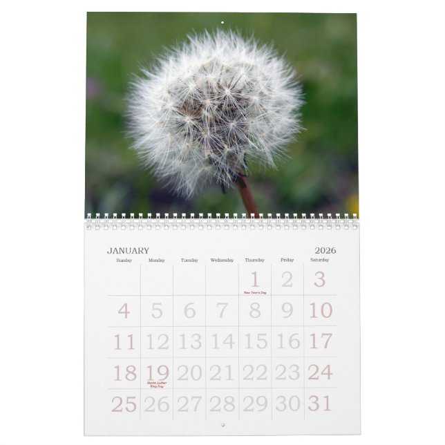 Schweizer Blumenkalender des schaukasten-2008 Kalender (Jan 2026)