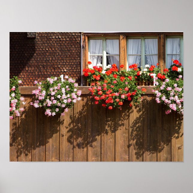 Schweizer Blumenkasten Poster (Vorne)