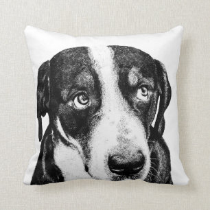 Schweizer Gebirgshund Kissen