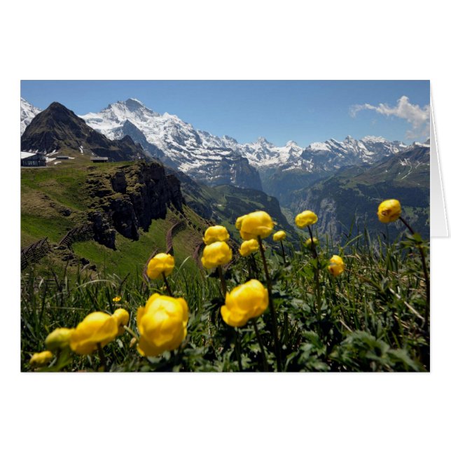Schweizer Grußkarten, Grindelwald, gelbe Blumen (Vorderseite (Horizontal))