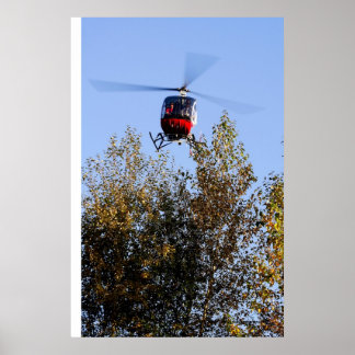 Schweizer kommen ins Land Poster