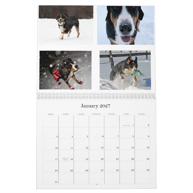 Schweizer lecken Swissies (und Freunde) Kalender (Jan 2027)