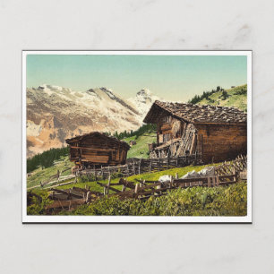 Schweizer Wohnsitz, Murren, Berner Oberland, Schwe Postkarte