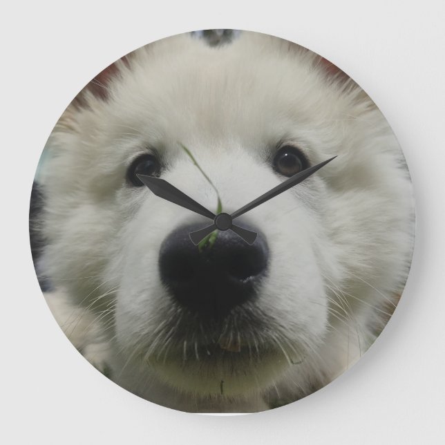 Schweizerischer Schäferhundehengstall - Hund mit v Große Wanduhr (Vorderseite)