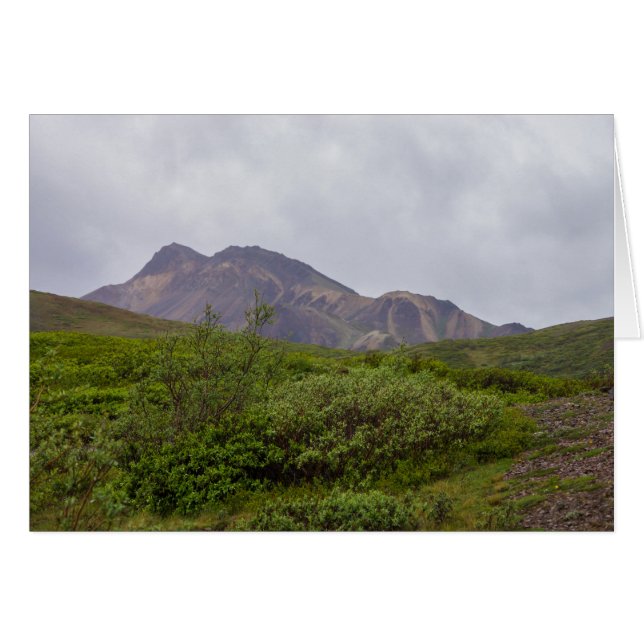 Schwelende Schönheit in Denali (Vorderseite (Horizontal))