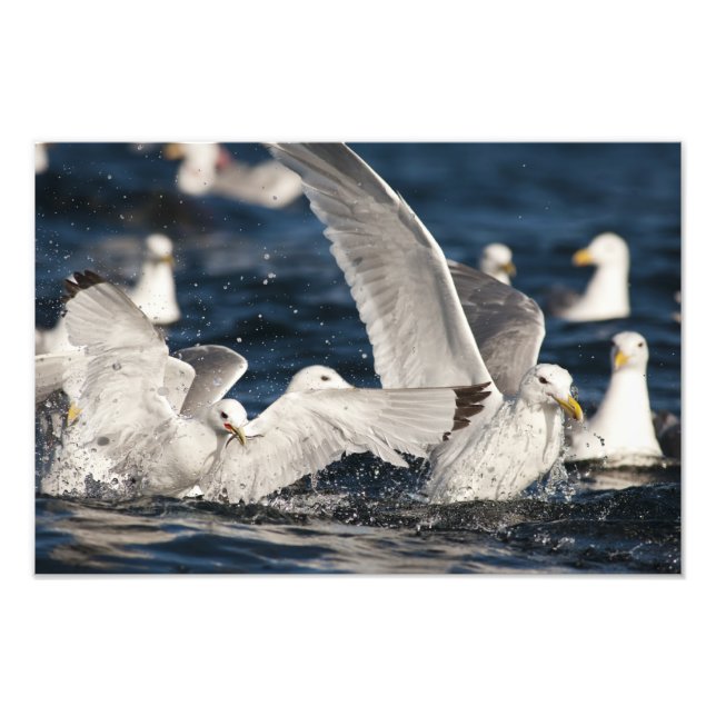 Schwellenländer Fotodruck (Vorne)