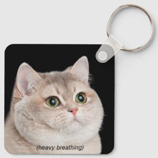 Schweratmigkeit Kat Meme Doppelseitiger Schlüssela Schlüsselanhänger