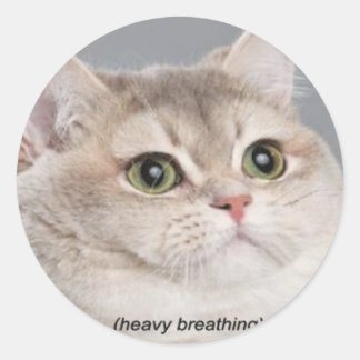 *Schweratmung* Runder Aufkleber