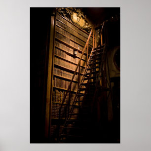 Schwermütige Bücher widergespiegelt Poster