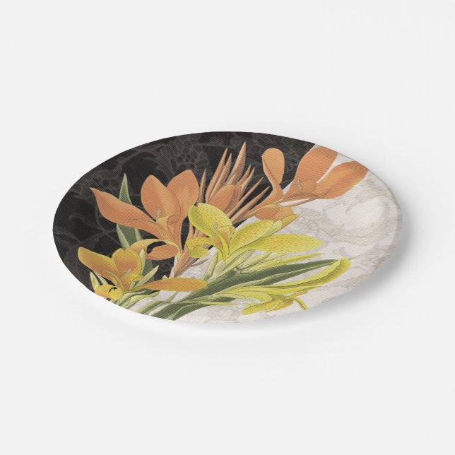 Schwerpunkt I Pappteller (Schrägansicht)