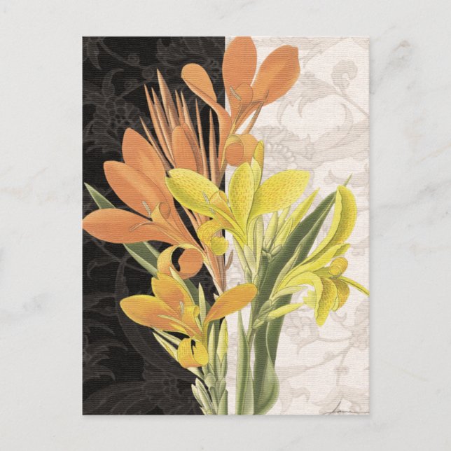 Schwerpunkt I Postkarte (Vorderseite)