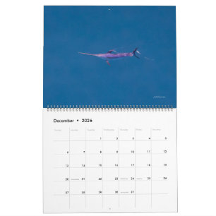 Schwertfisch-Kalender 2026 Kalender