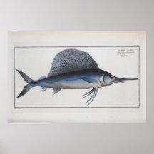 Schwertfisch-Zeichnung Retro Vintage