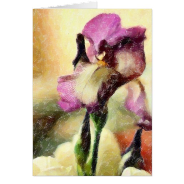 SCHWERTLILIE (Vorne)