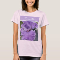 Schwertlilie Blumen Lila Lavendel Flieder Floral