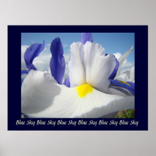 Schwertlilien Blaue Himmel Kunst Druck Heilende Be Poster