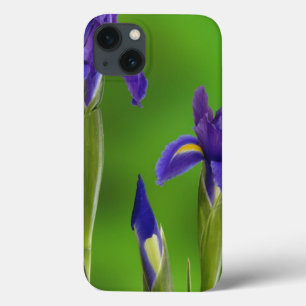 Schwertlilien-Blumen iPhone 13 Hülle