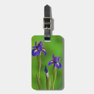 Schwertlilien-Blumen Gepäckanhänger