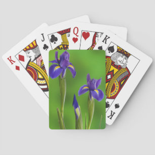 Schwertlilien-Blumen Spielkarten