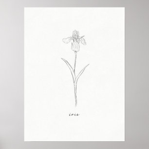 Schwertlilien-Blumenprint Poster