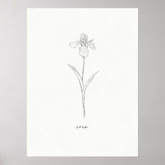Schwertlilien-Blumenprint Poster
